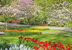 Au Printemps